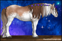 Horse Color:White Spotted Brown Pearl Sabino