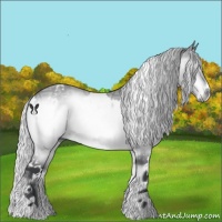 Horse Color:White Spotted Silver Brown Chinchilla Ice Onyx 