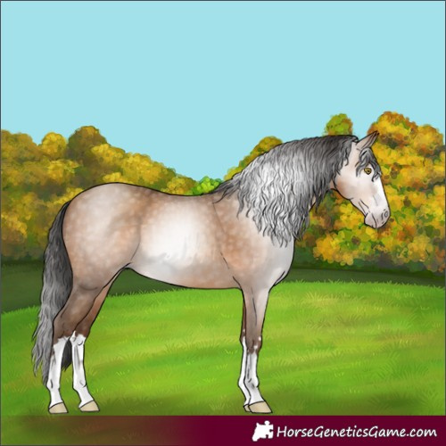 Horse Color:Gray Amber Champagne 