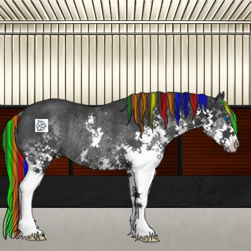 Horse Color:Painted Black Splash Rabicano 