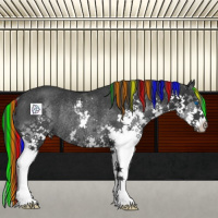 Horse Color:Painted Black Splash Rabicano 