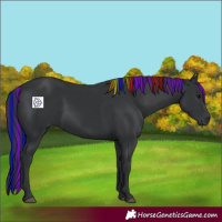 Horse Color:Painted Black Rabicano