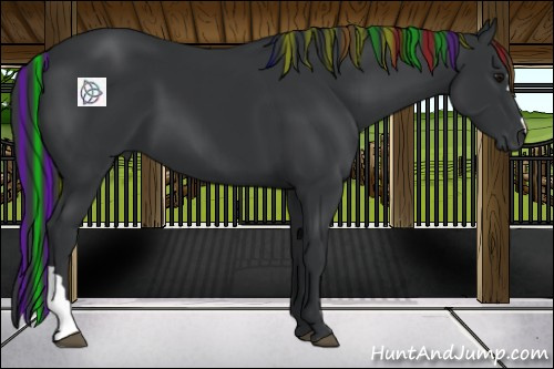 Horse Color:Painted Black 