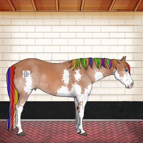Horse Color:Painted Chestnut Splash Rabicano 
