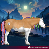 Horse Color:Painted Palomino Splash Rabicano 