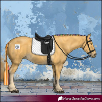 Horse Color:Painted Palomino 