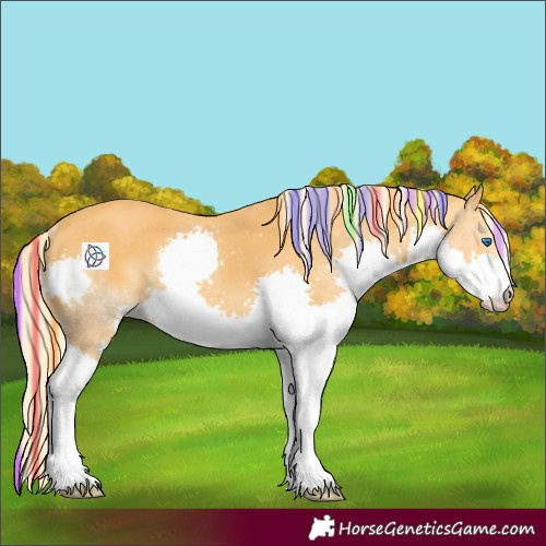 Horse Color:Painted Palomino Splash Rabicano 