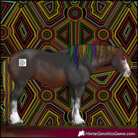 Horse Color:Painted White Spotted Brown 