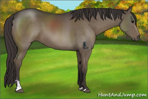 Horse Color:Smoky Black Sabino 