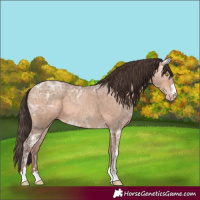 Horse Color:Amber Champagne Ice 