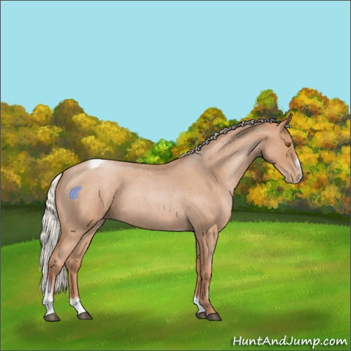 Horse Color:Silver Blue Roan Pearl Tobiano Frame 