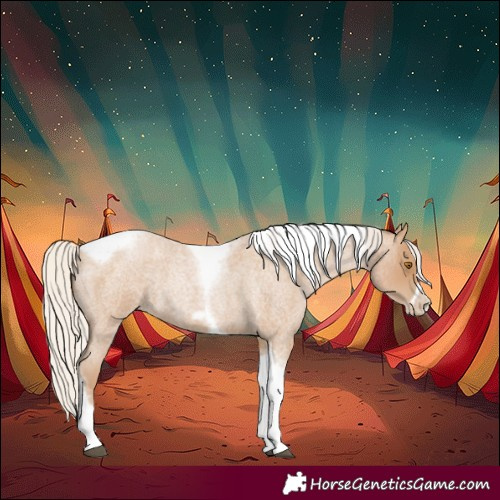 Horse Color:Silver Blue Roan Pearl Tobiano Frame 