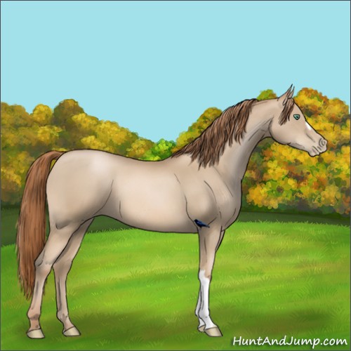 Horse Color:Smoky Black Pearl