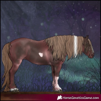 Horse Color:Liver Chestnut Tobiano 