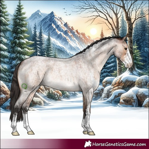 Horse Color:Bay Roan Dun Sabino
