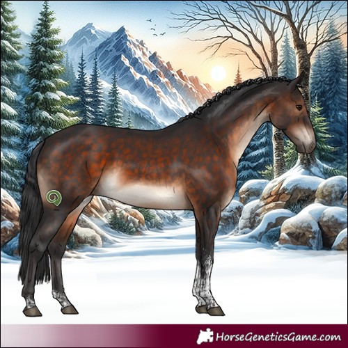 Horse Color:Brown Sabino Tobiano