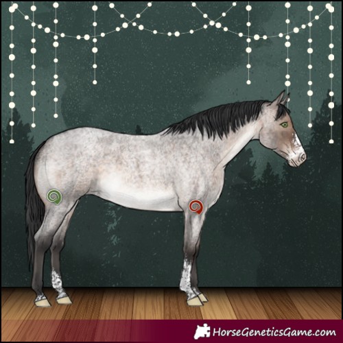 Horse Color:Brown Roan Dun Mushroom Sabino Brindle 