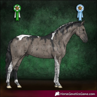 Horse Color:Grullo Tobiano Brindle