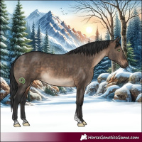 Horse Color:Brown Dun Sabino Brindle 