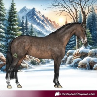 Horse Color:Brown Dun Sabino Brindle