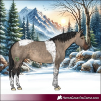 Horse Color:Brown Dun Tobiano 