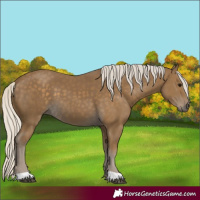 Horse Color:Silver Smoky Black 