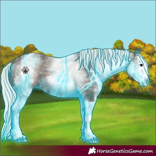 Horse Color:Thunderstruck White Spotted Silver Black Splash 