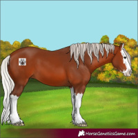 Horse Color:Silver Brown Splash 