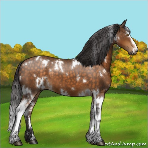 Horse Color:White Spotted Buckskin 