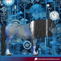 Horse Color:Black Tobiano 