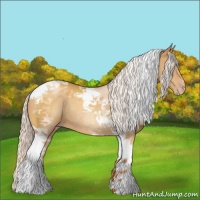 Horse Color:Silver Sable Cream Champagne Tobiano Rabicano 