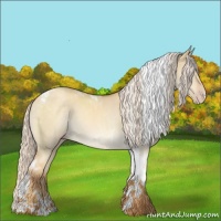 Horse Color:Silver Sable Cream Champagne Dun Tobiano Rabicano