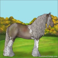 Horse Color:Silver Brown Tobiano 