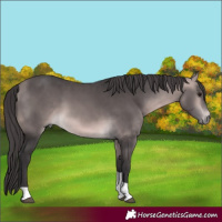 Horse Color:Platinum Buckskin Tobiano 