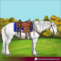 Horse Color:Silver Perlino Dun 