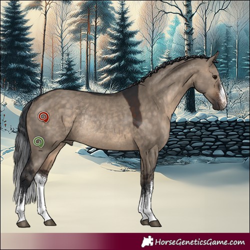 Horse Color:White Spotted Brown Dun Rabicano 