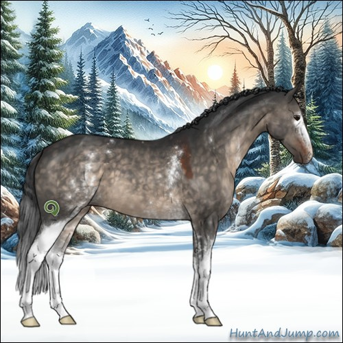Horse Color:White Spotted Brown Dun Sabino