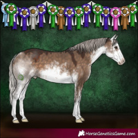 Horse Color:White Spotted Silver Brown Dun 