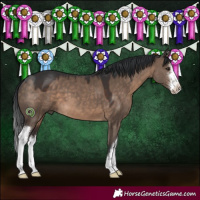 Horse Color:White Spotted Brown Dun