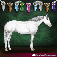 Horse Color:White Spotted Silver Brown Dun Sabino 