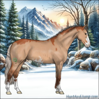 Horse Color:Silver Bay Roan Dun Sabino 