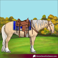 Horse Color:Silver Amber Cream Champagne Dun Tobiano 