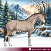 Horse Color:White Spotted Liver Red Dun 