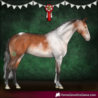 Horse Color:Brown Sabino Tobiano