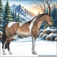 Horse Color:Bay Dun Tobiano 