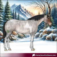 Horse Color:Brown Roan Tobiano