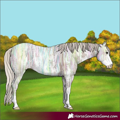 Horse Color:Silver Black Ice Sabino 