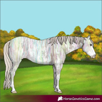 Horse Color:Silver Black Ice Sabino 