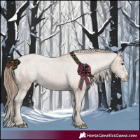 Horse Color:Classic Champagne Appaloosa 