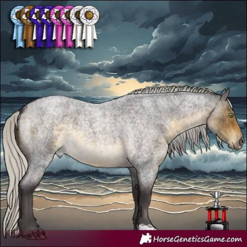 Horse Color:Silver Buckskin Roan Sabino 